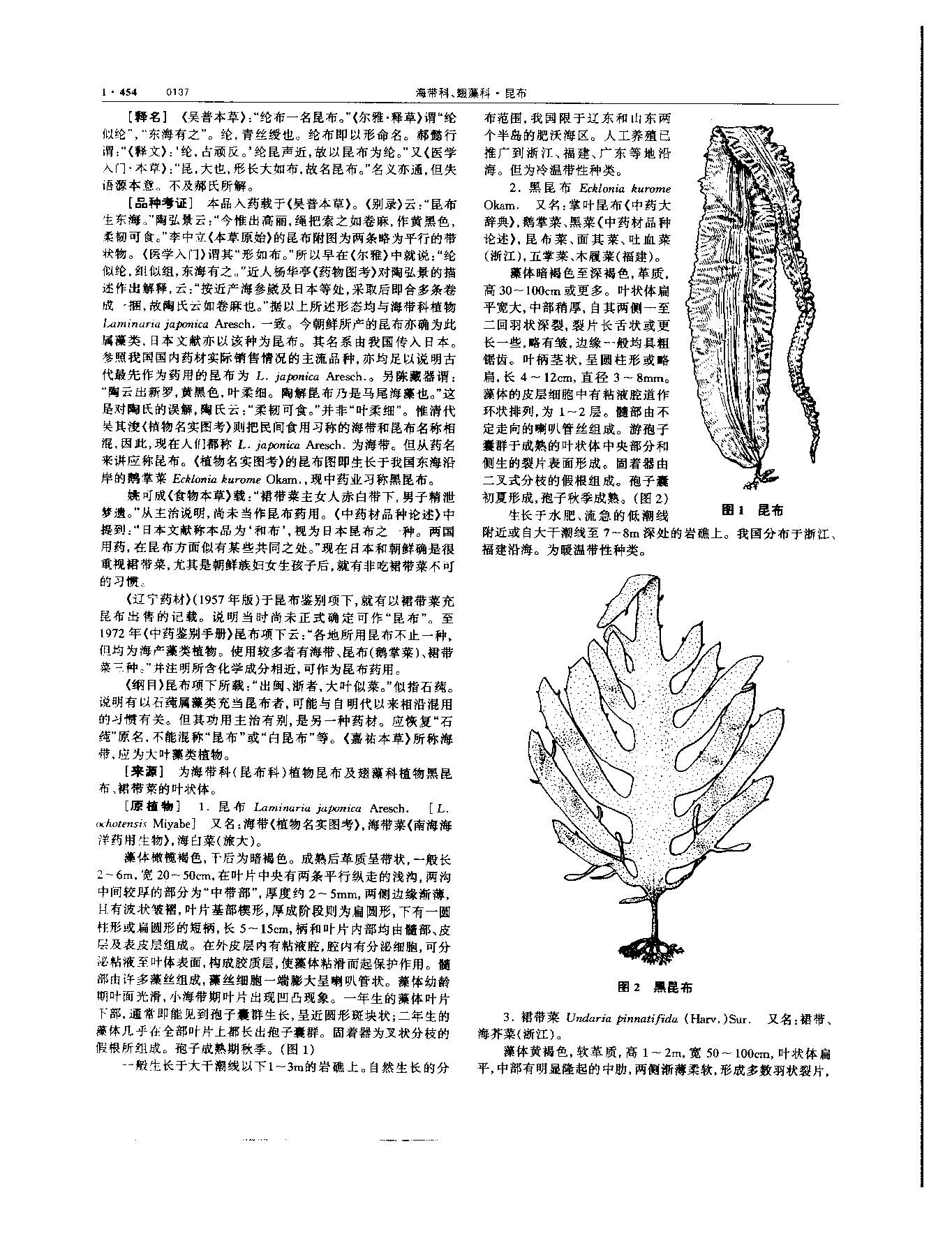昆布 现代-《中华本草》 资料图