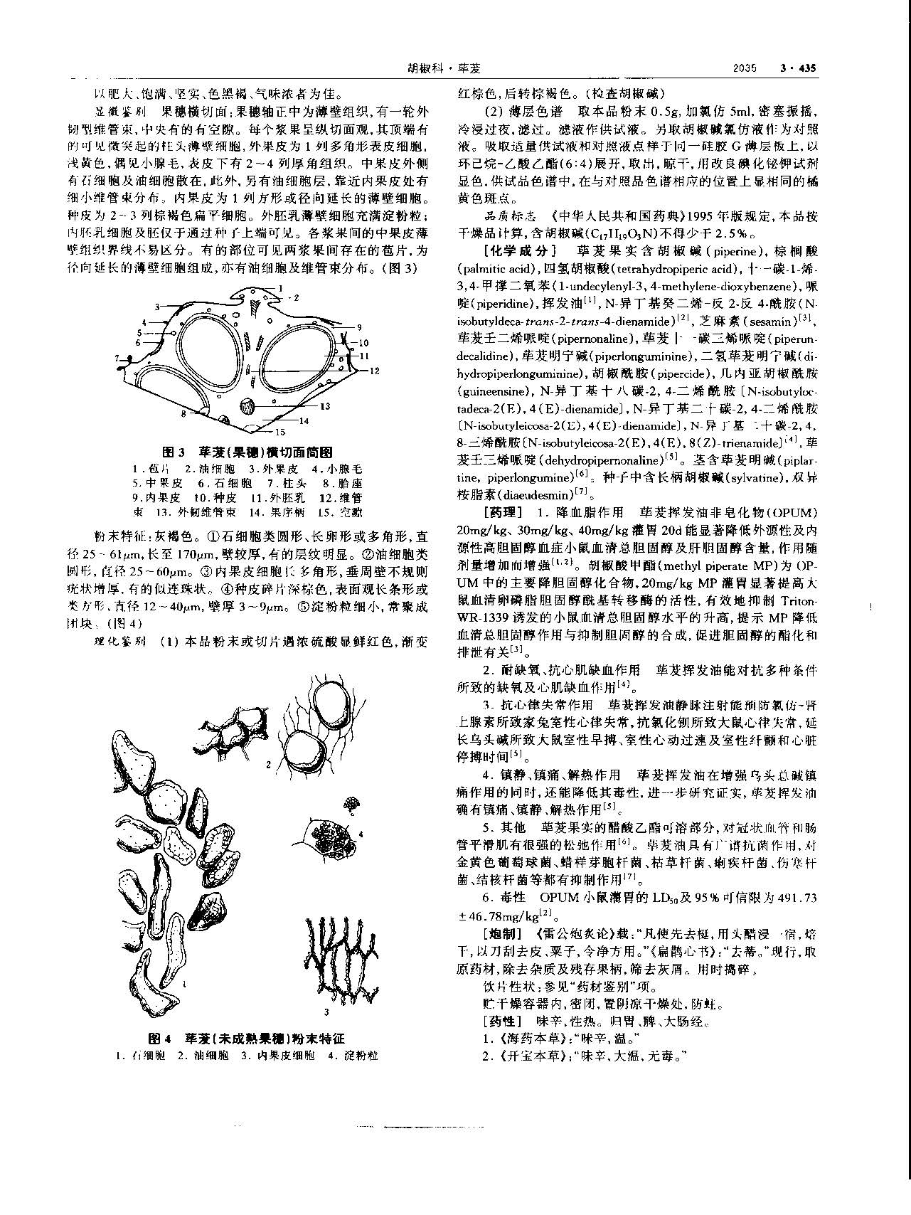 荜茇 现代-《中华本草》 资料图