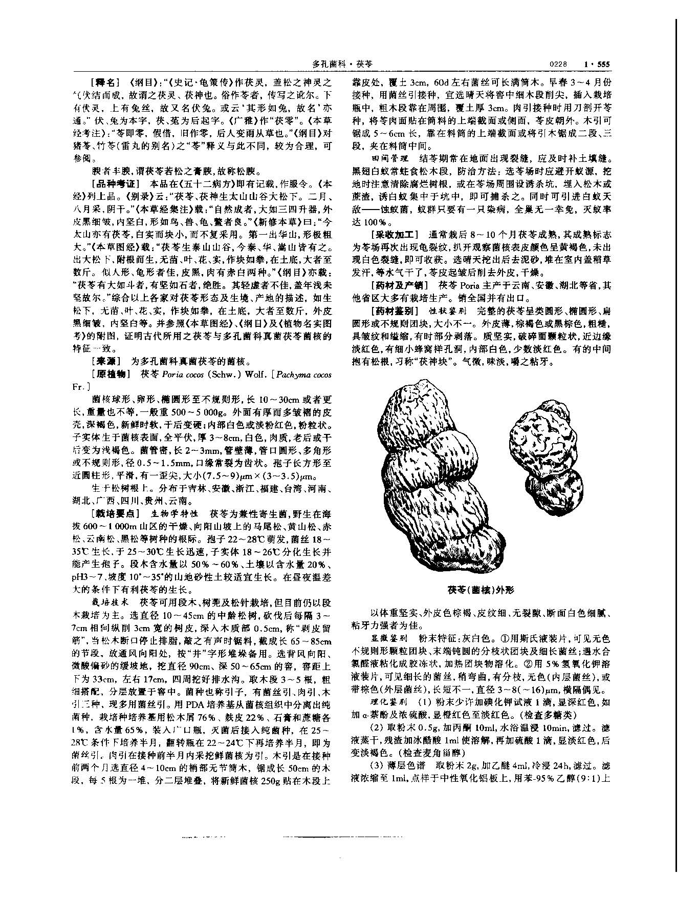 茯苓 现代-《中华本草》 资料图