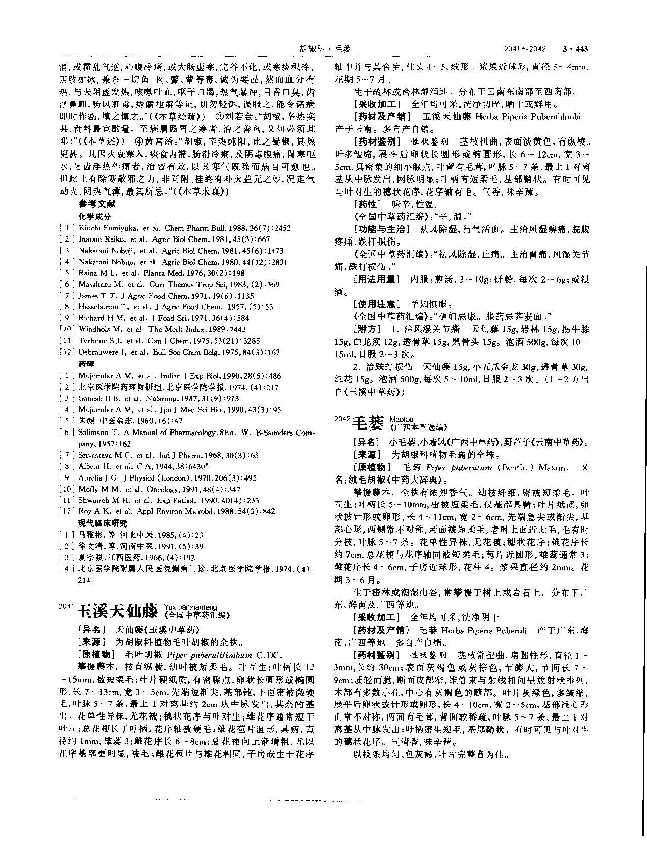 胡椒 现代-《中华本草》 资料图