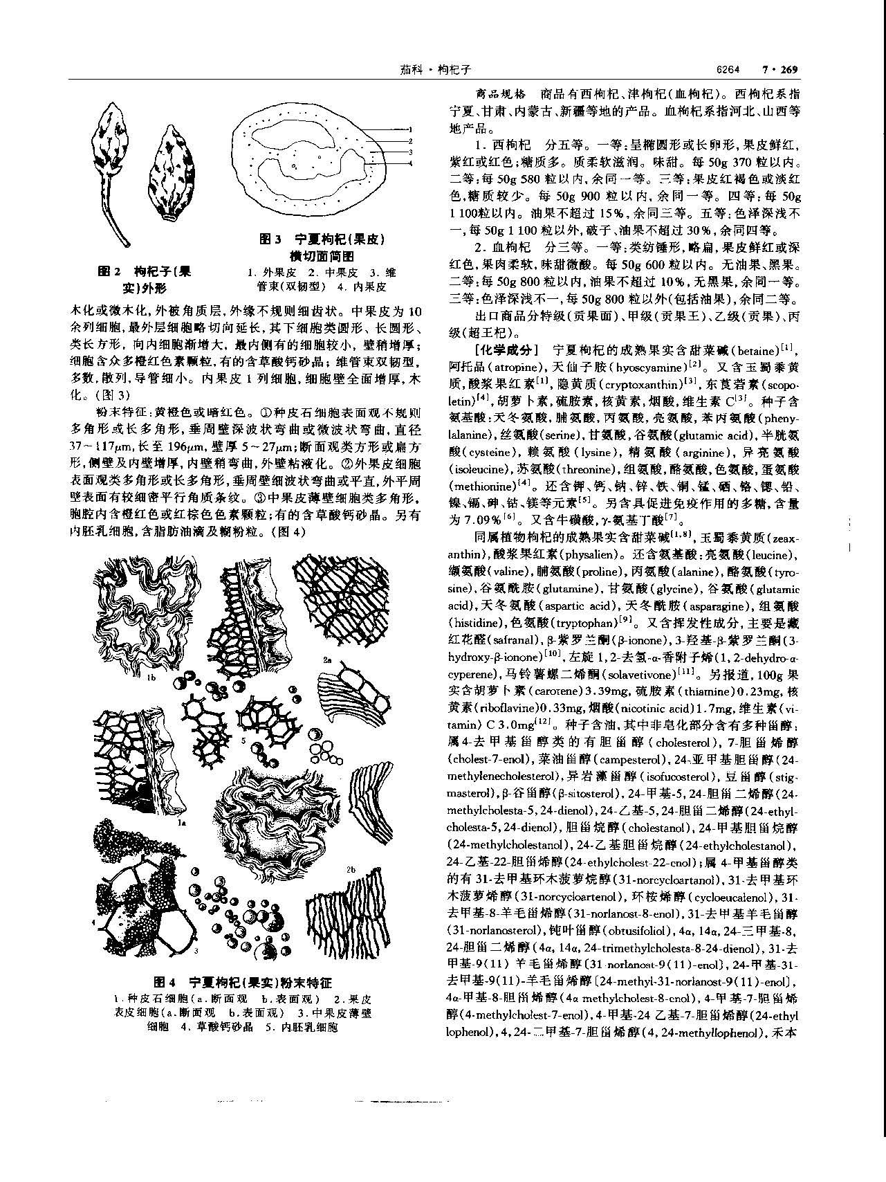 枸杞子 现代-《中华本草》 资料图