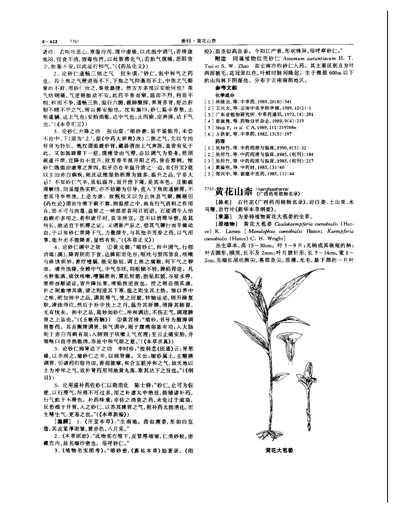 砂仁 现代-《中华本草》 资料图