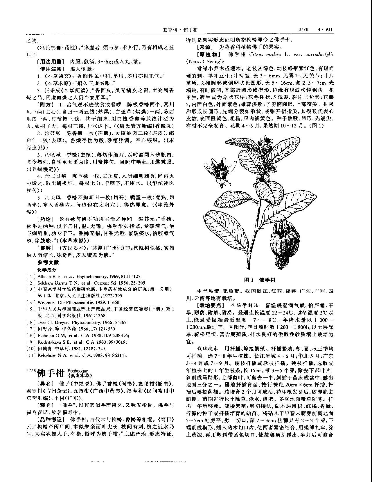 香橼 现代-《中华本草》 资料图