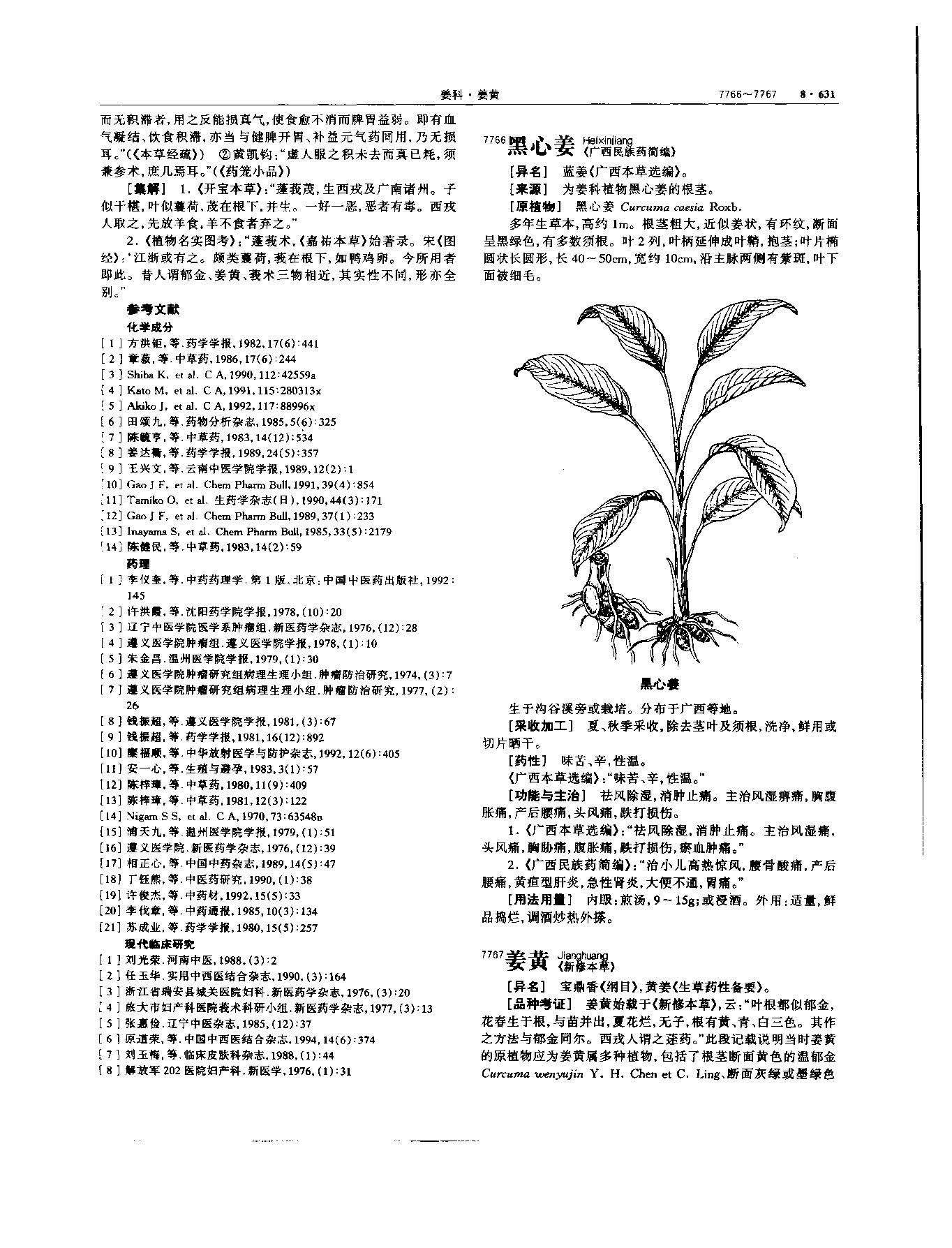姜黄 现代 《中华本草》 资料图