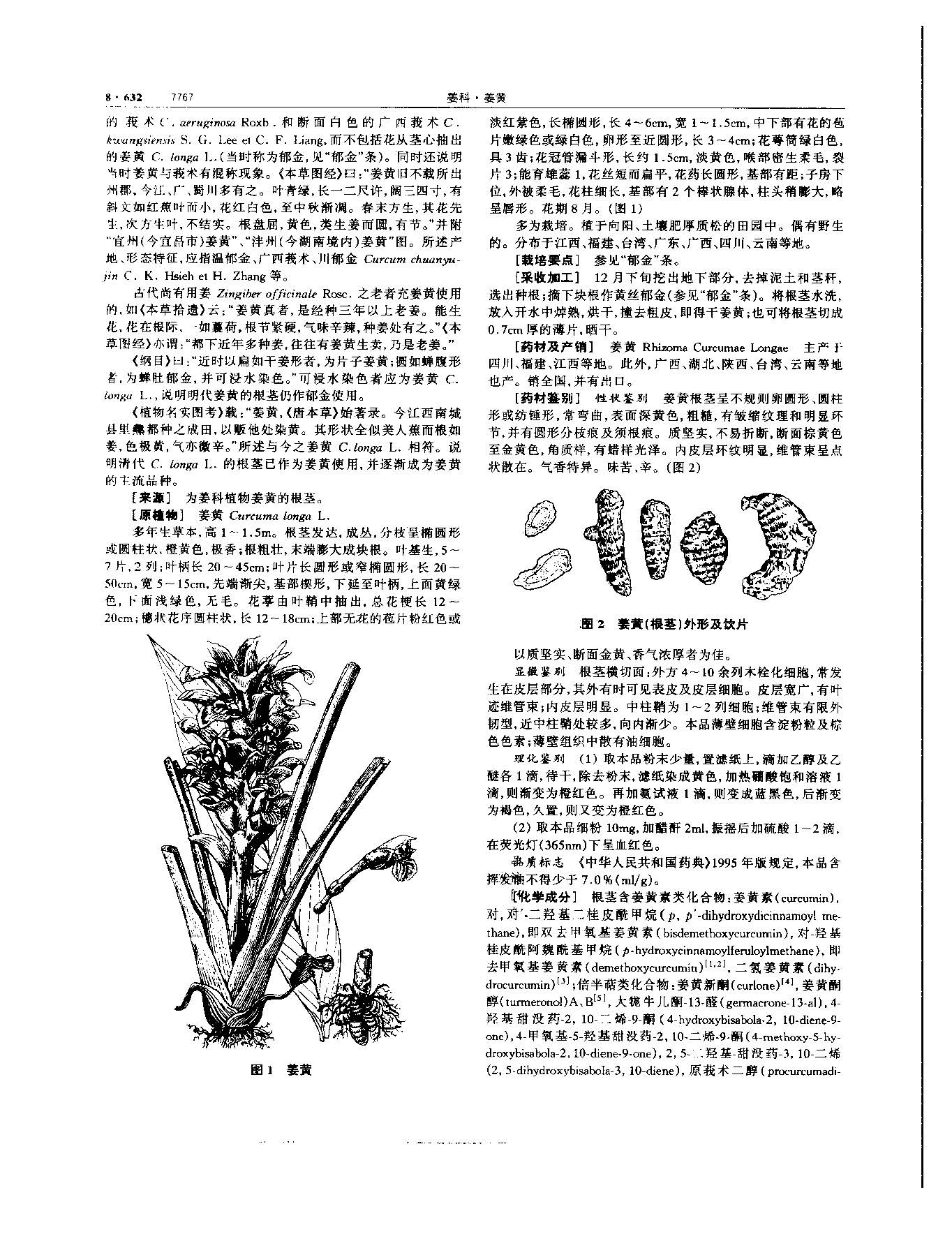 姜黄 现代 《中华本草》 资料图