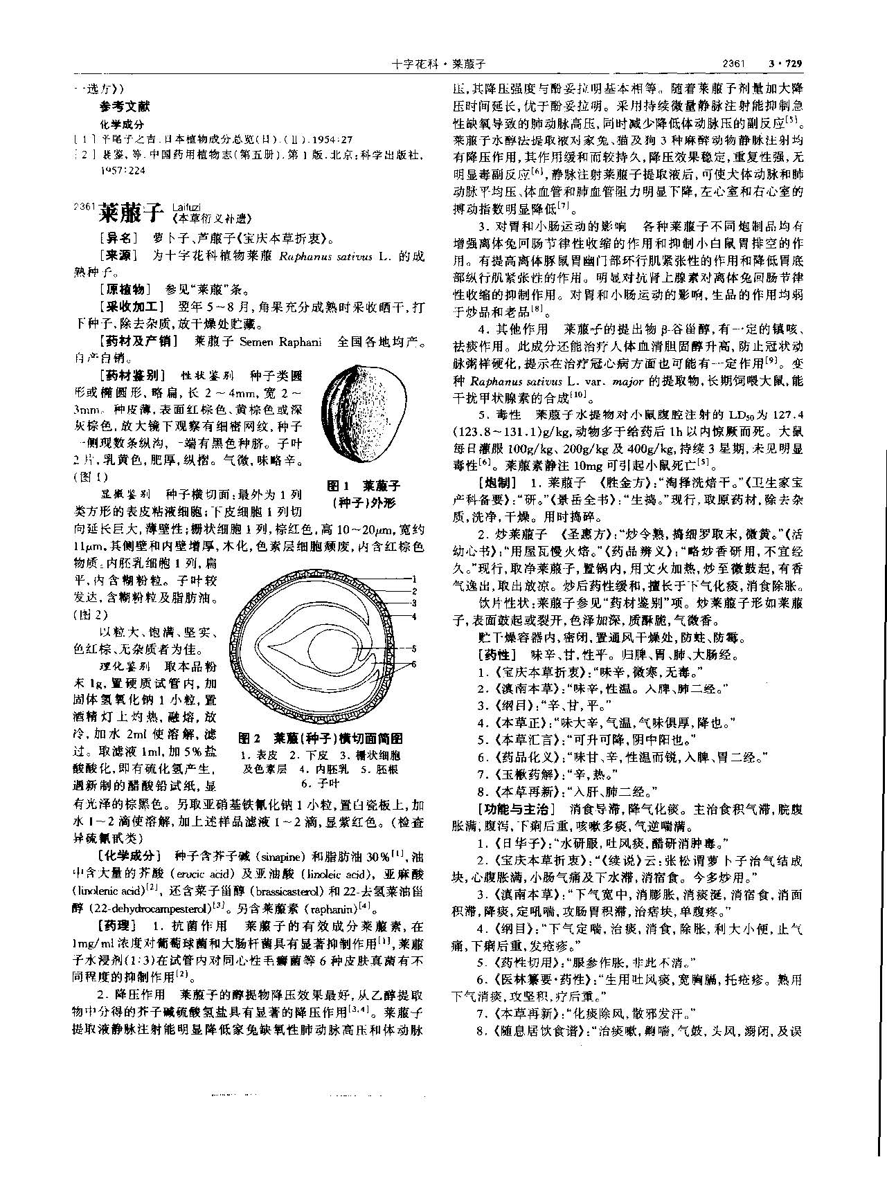 莱菔子 现代 《中华本草》 资料图