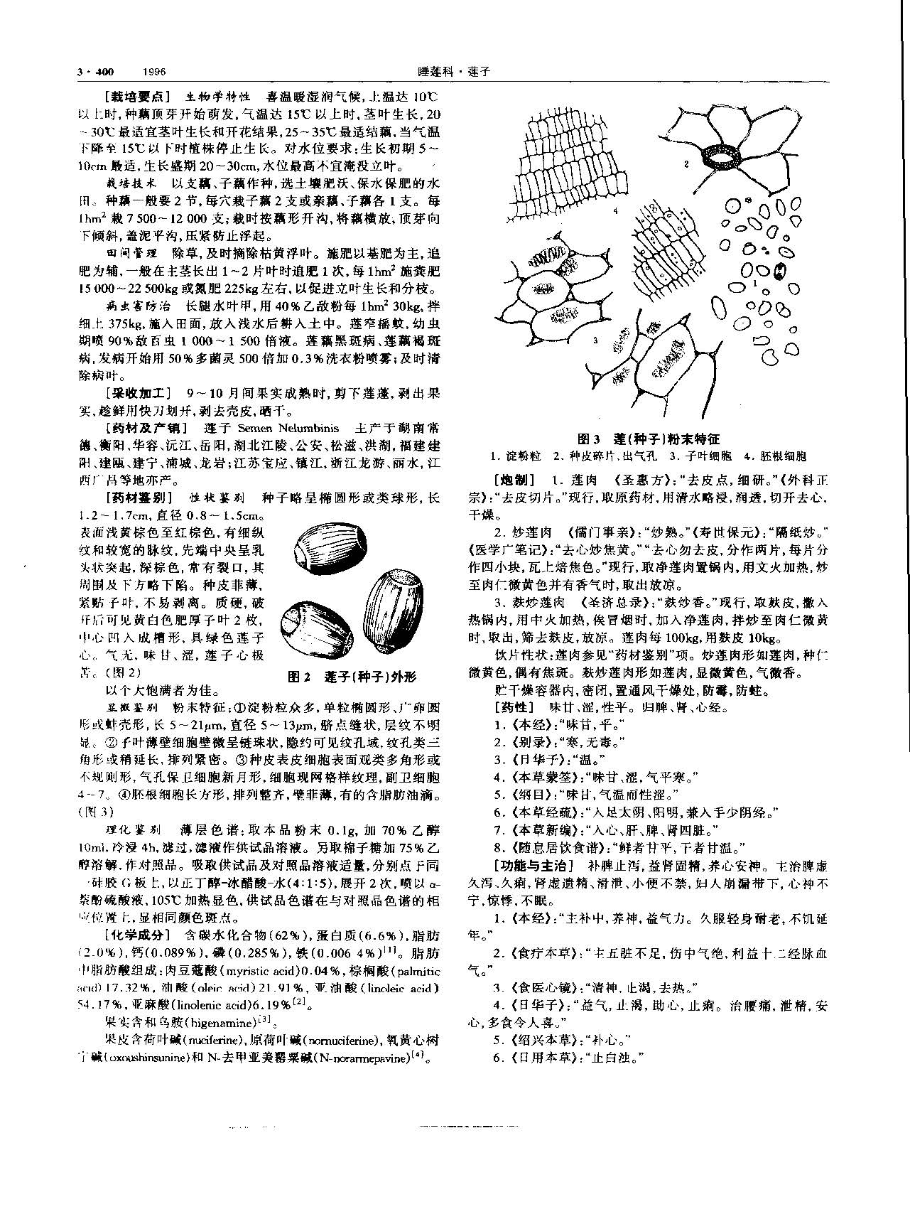莲子 现代 《中华本草》 资料图