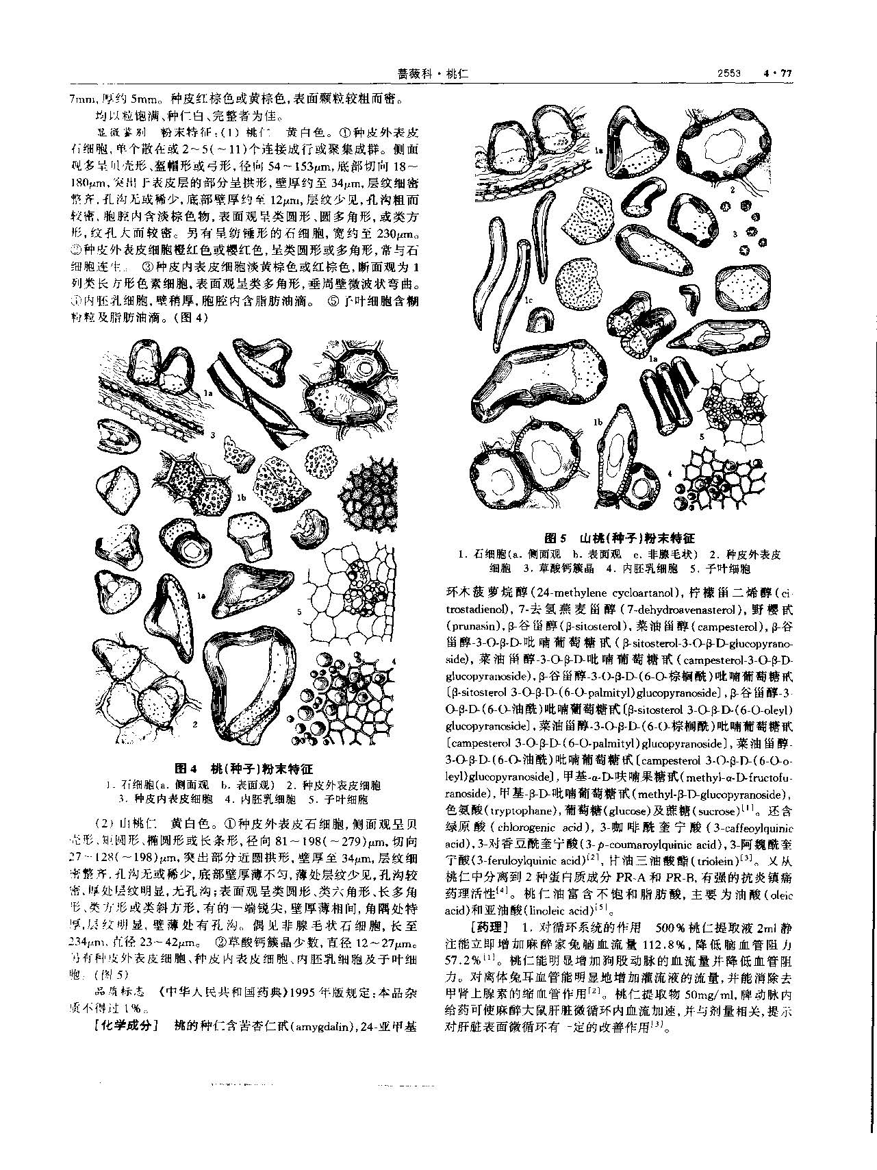 桃仁 现代 《中华本草》 资料图