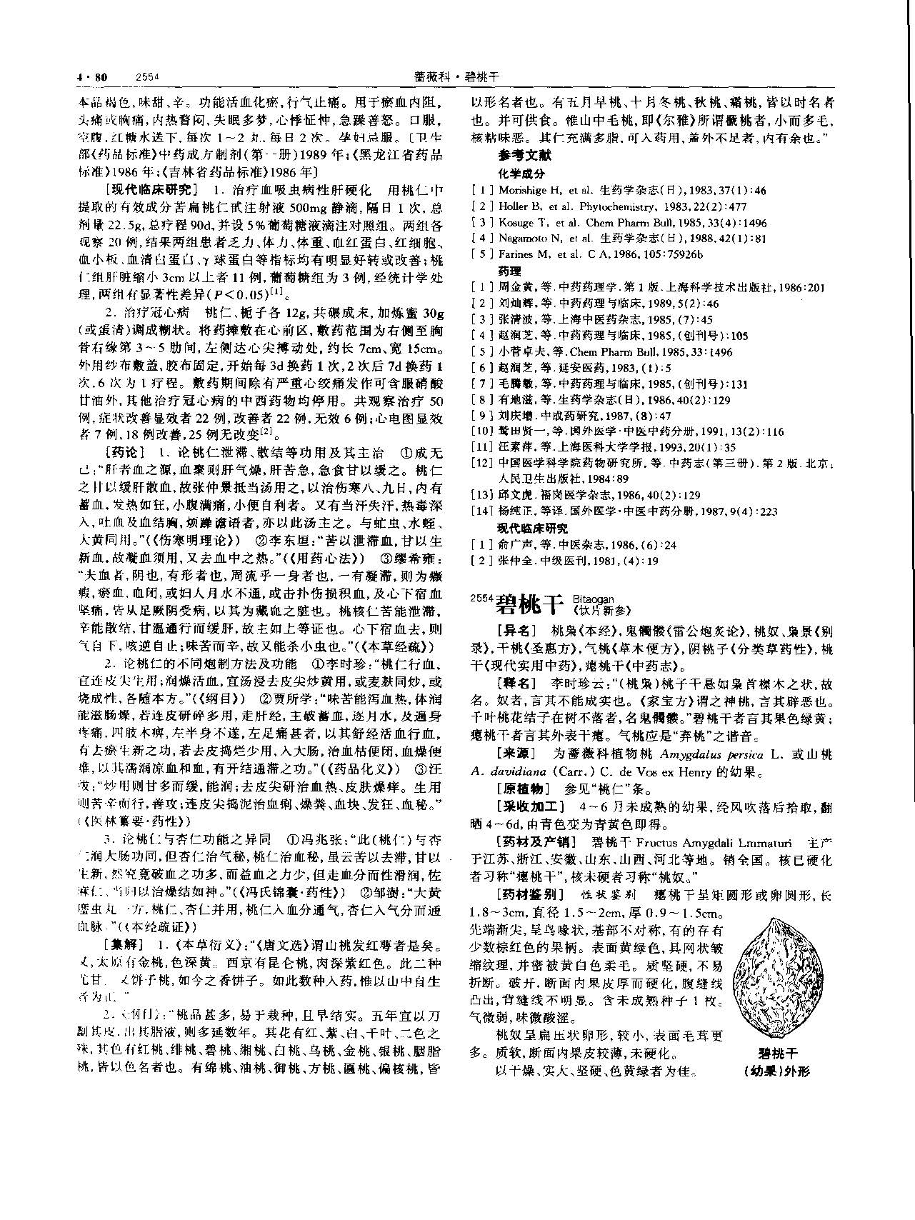 桃仁 现代 《中华本草》 资料图