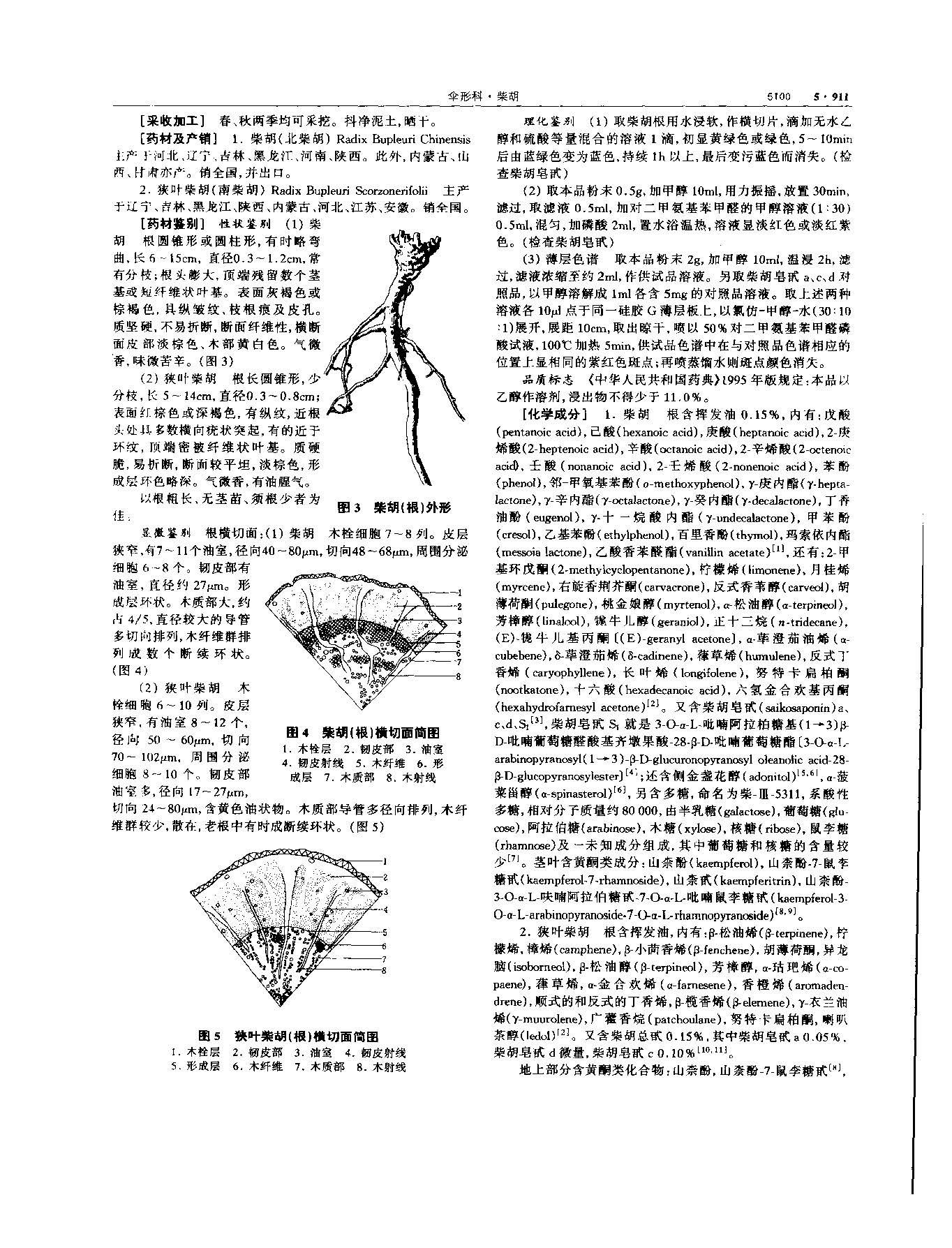 党参 现代 《中华本草》 资料图