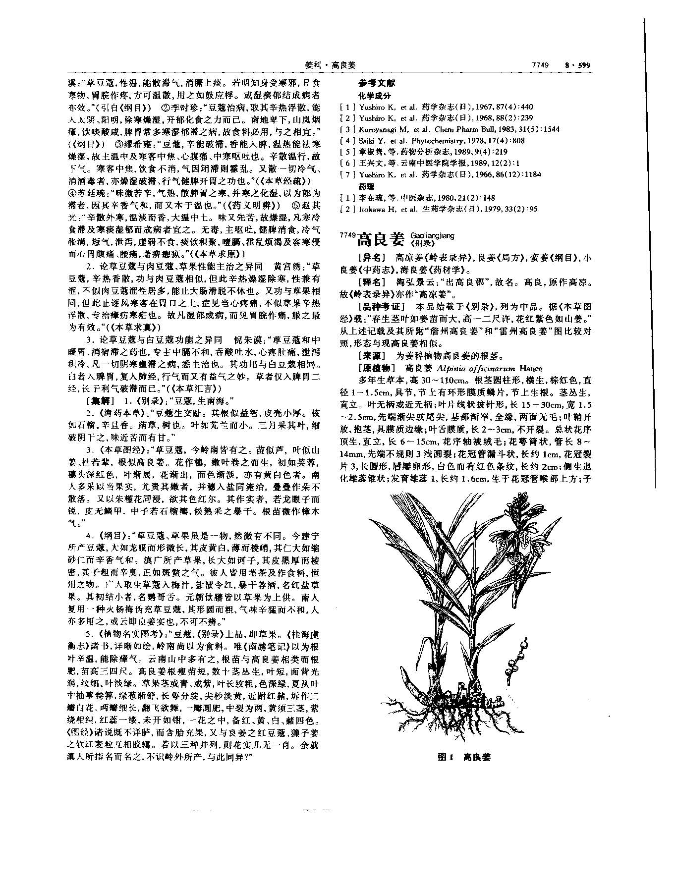 高良姜 现代 《中华本草》 资料图