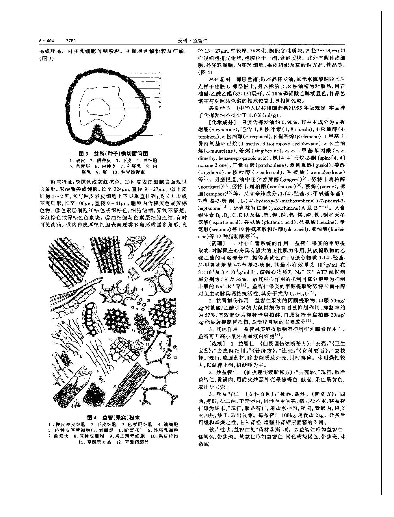 益智 现代 《中华本草》 资料图
