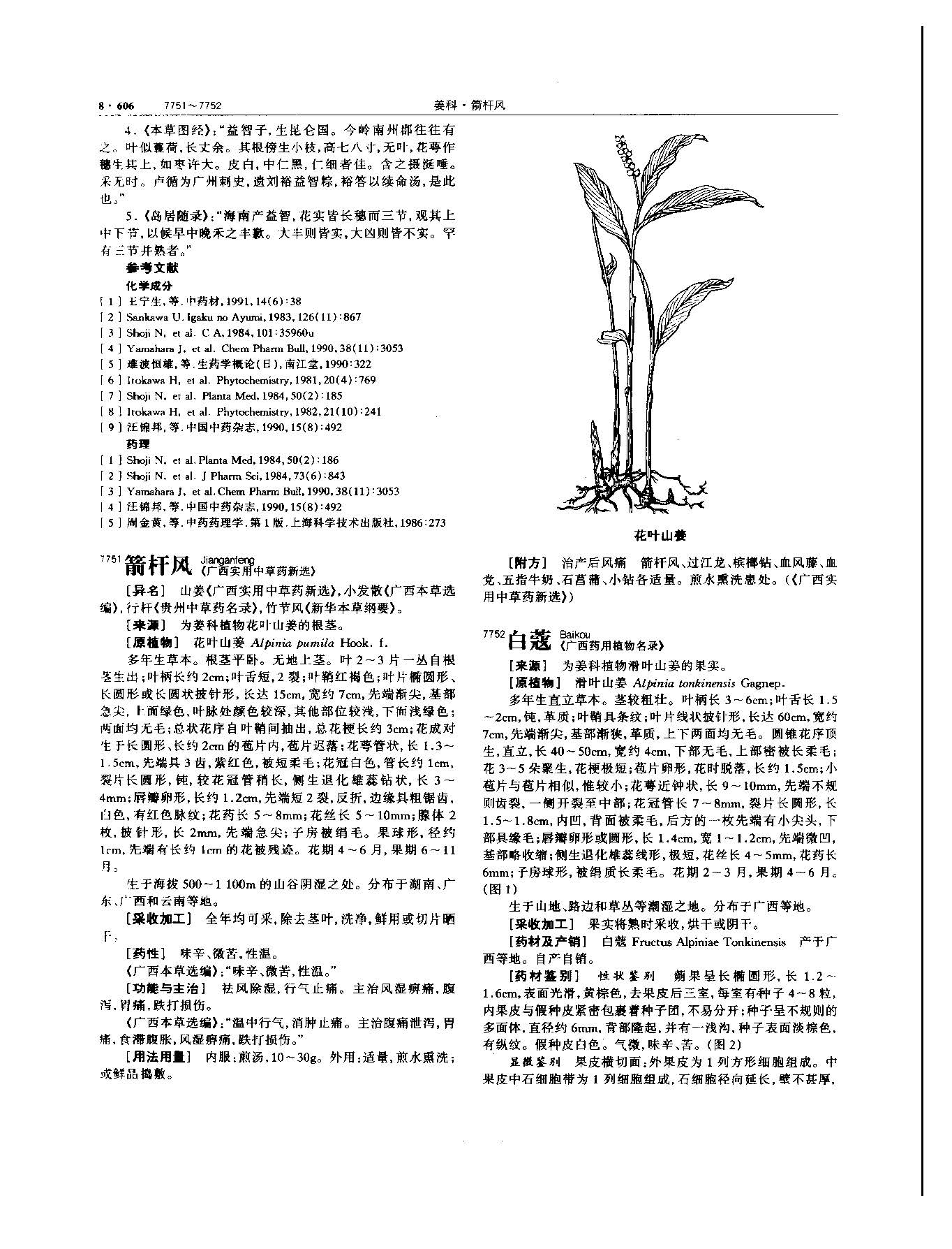 益智 现代 《中华本草》 资料图