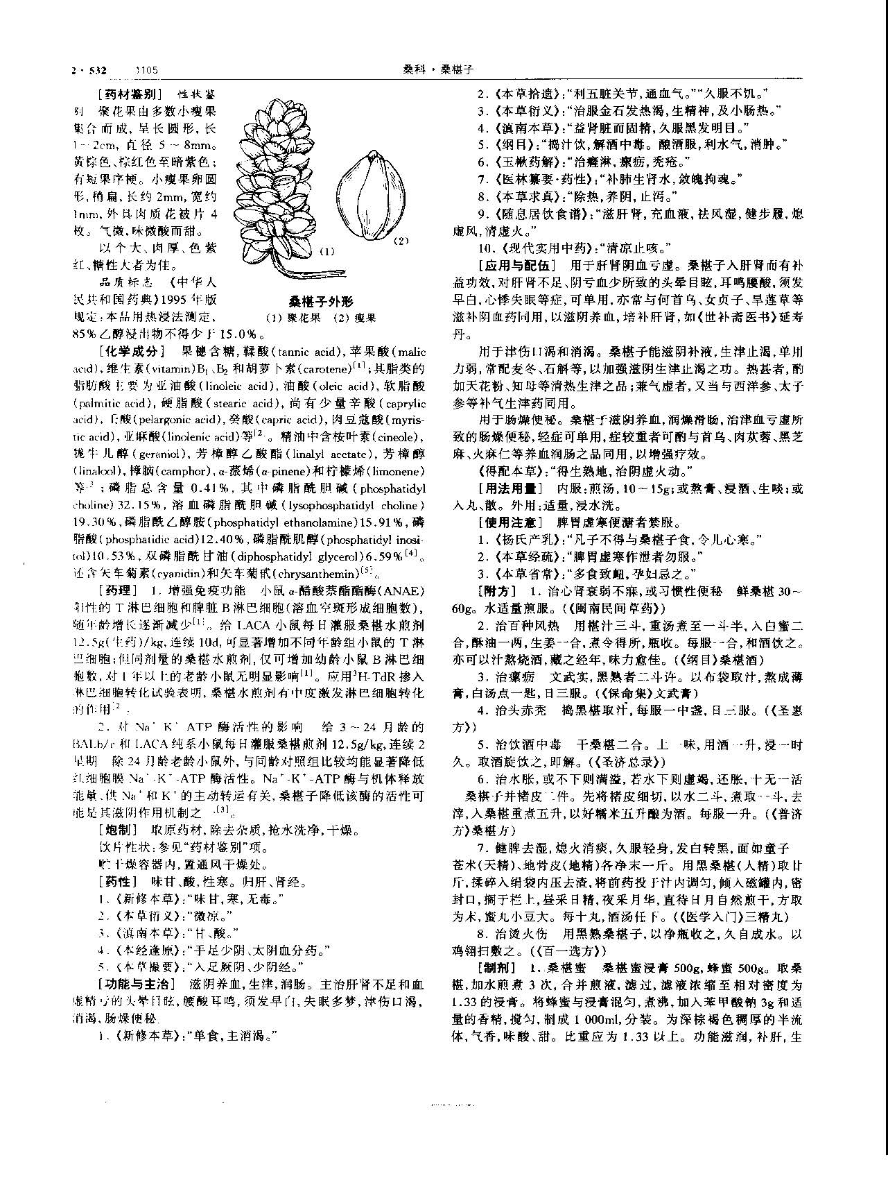 桑椹 现代 《中华本草》 资料图
