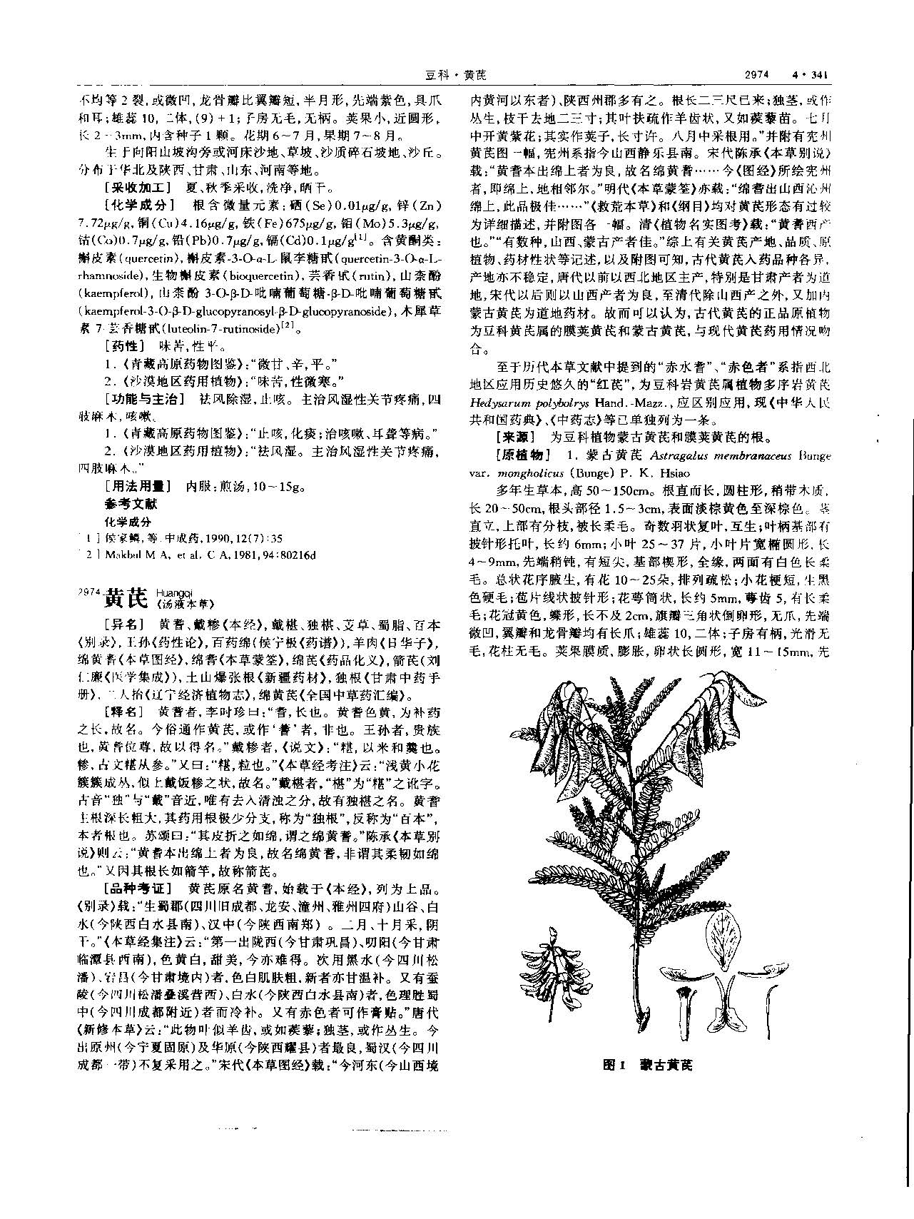 黄芪 现代 《中华本草》 资料图