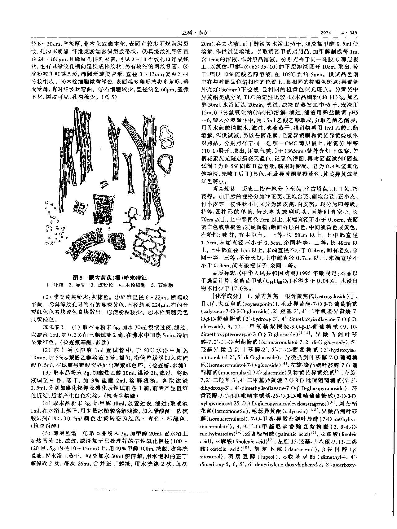 黄芪 现代 《中华本草》 资料图