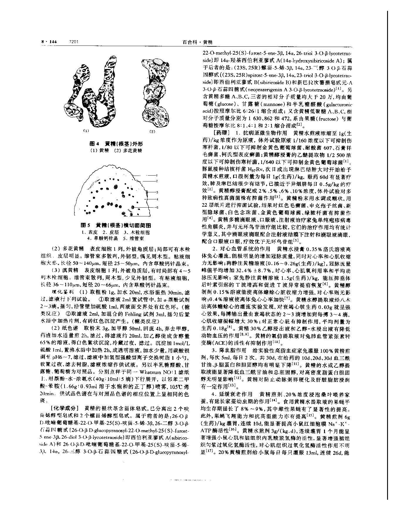 黄精 现代 《中华本草》 资料图