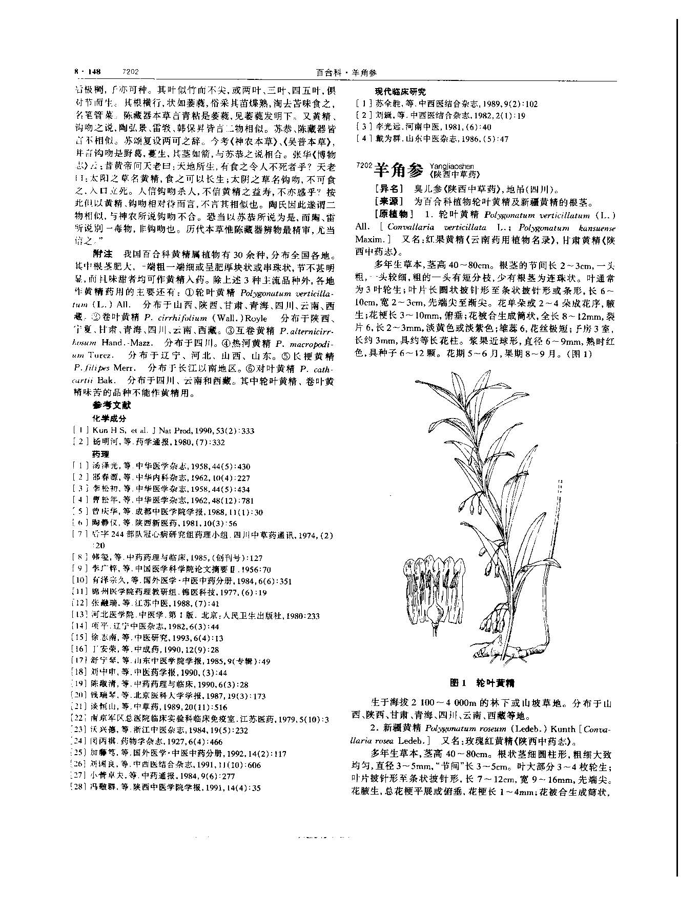 黄精 现代 《中华本草》 资料图