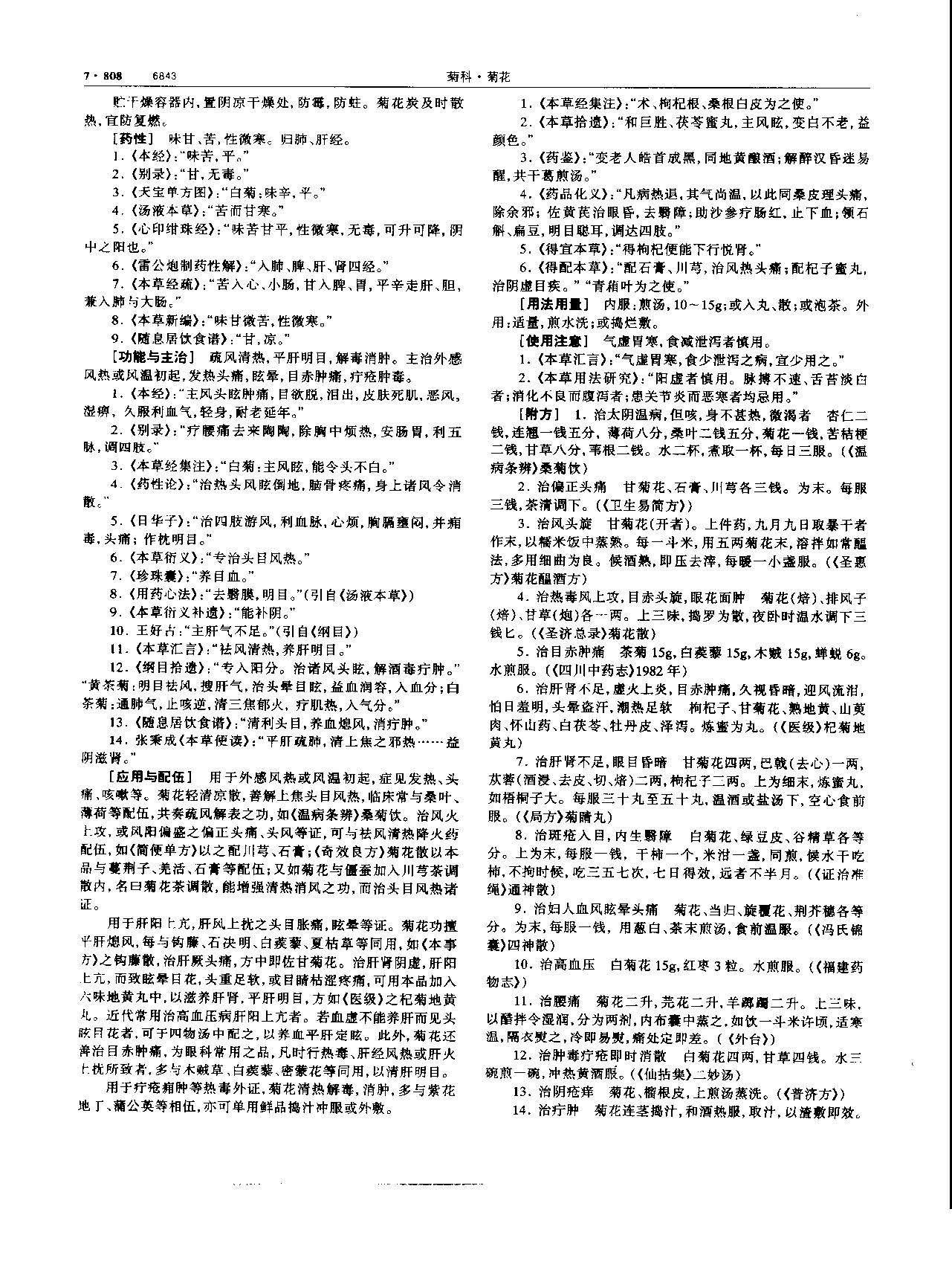 1695776464163071069.jpg 菊花 现代 《中华本草》 资料图