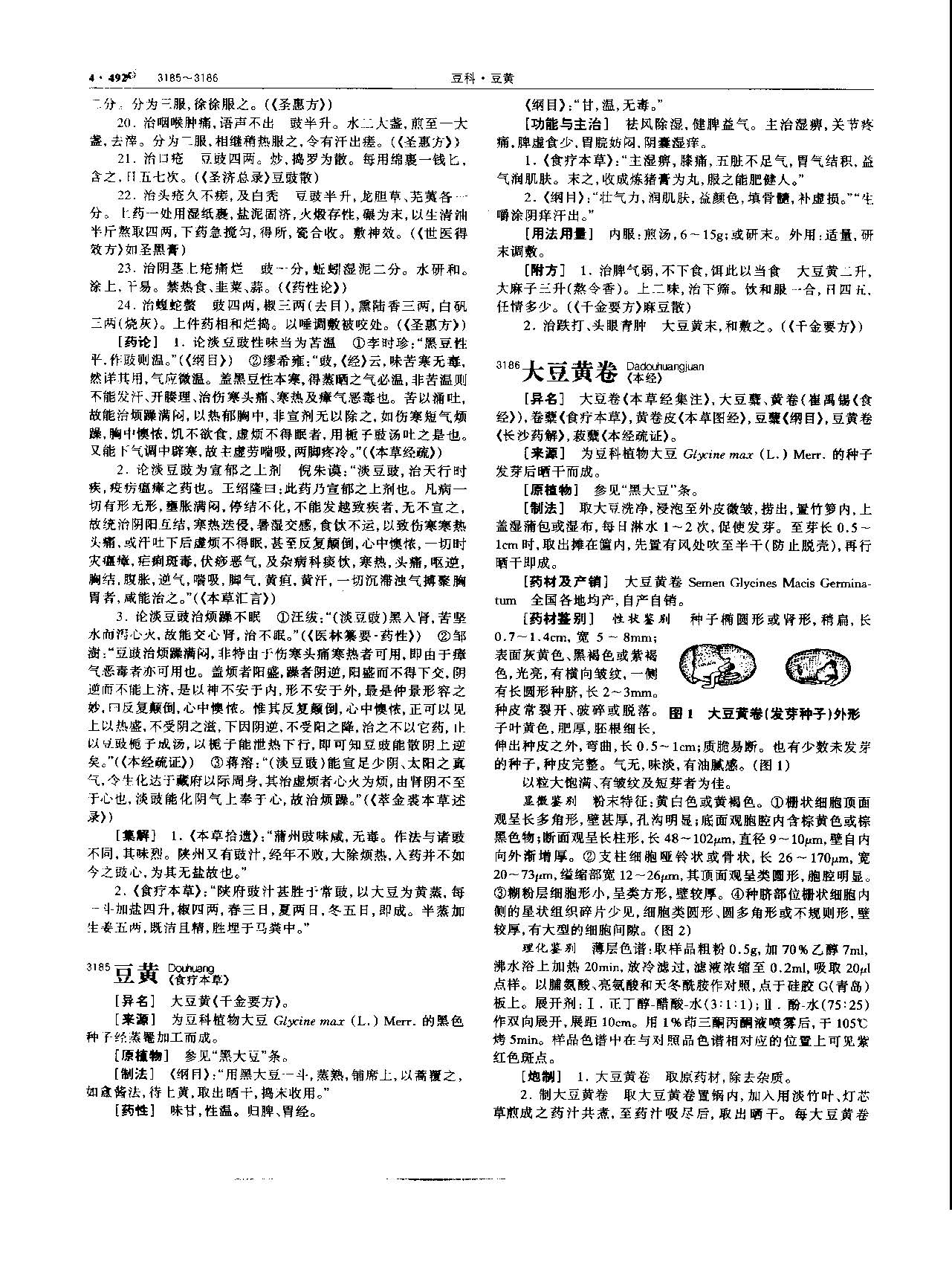 淡豆豉 现代 《中华本草》 资料图