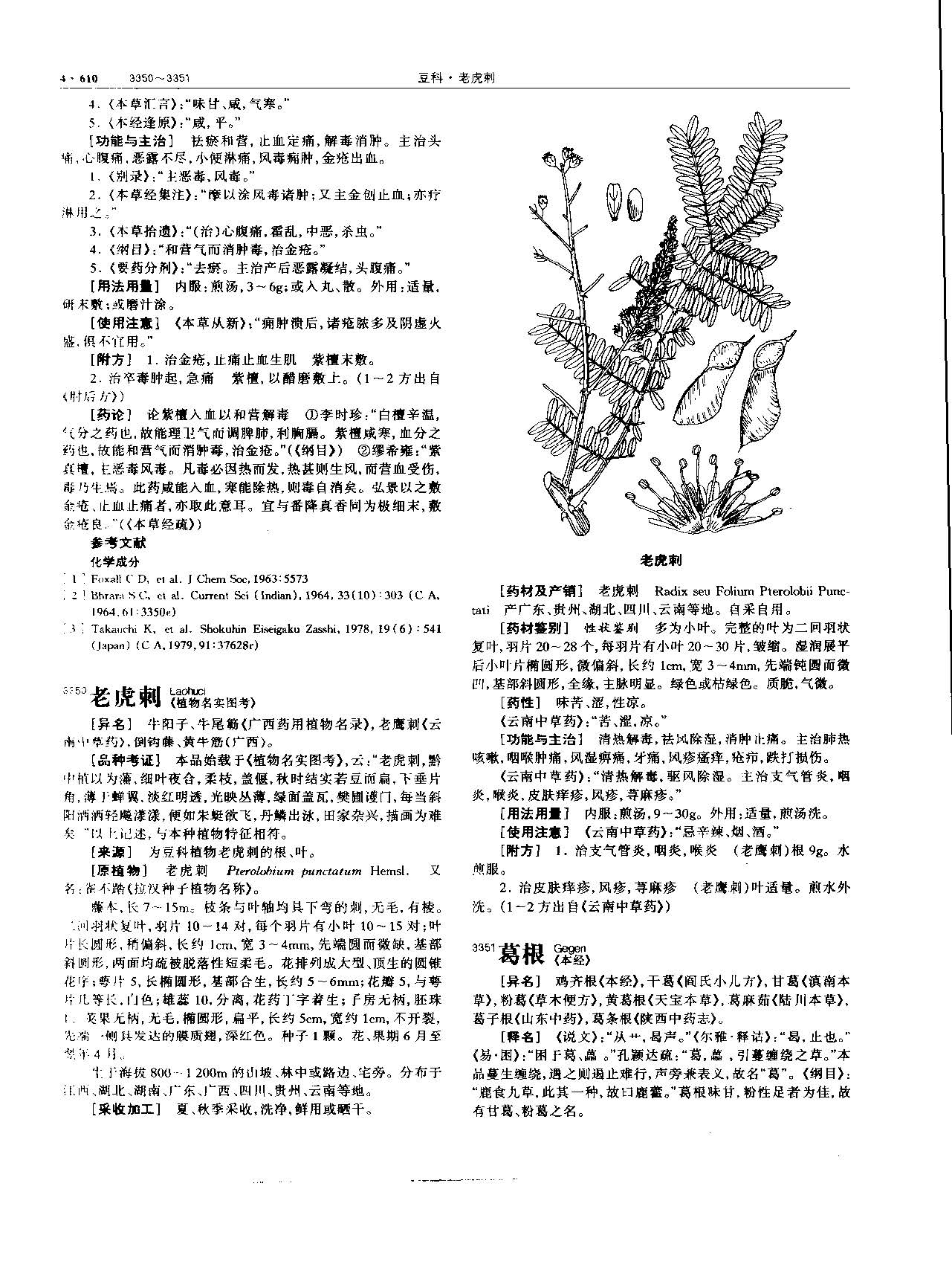 葛根 现代 《中华本草》 资料图