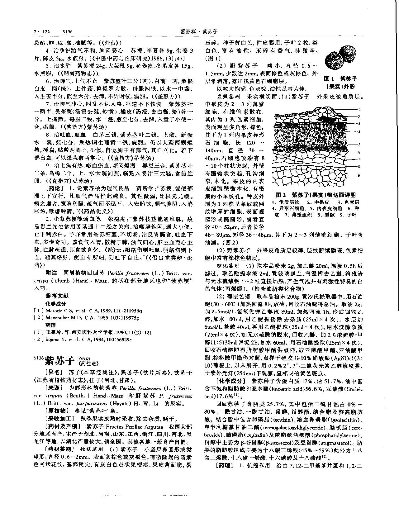 紫苏子 现代-《中华本草》 资料图