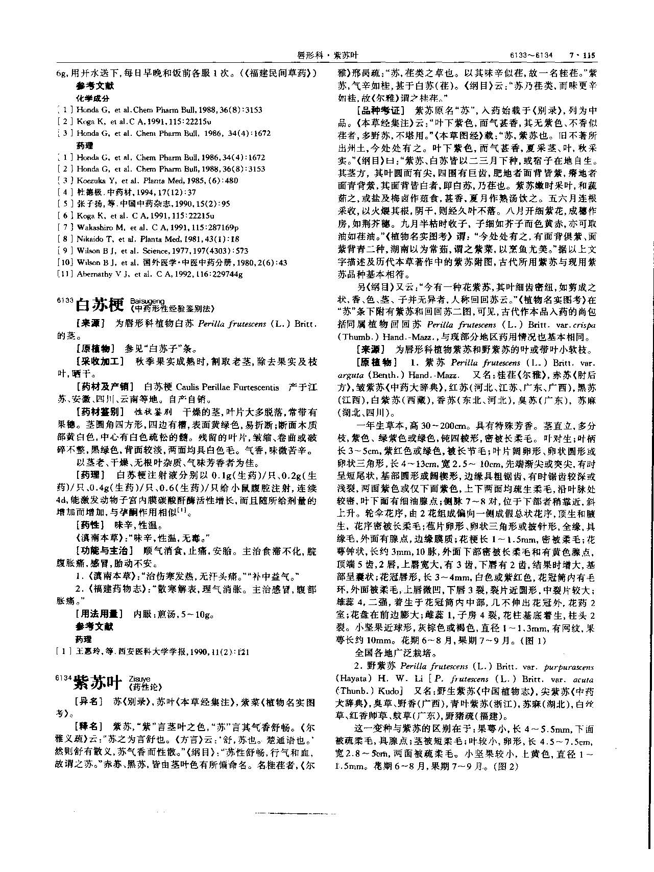 紫苏叶 现代-《中华本草》 资料图