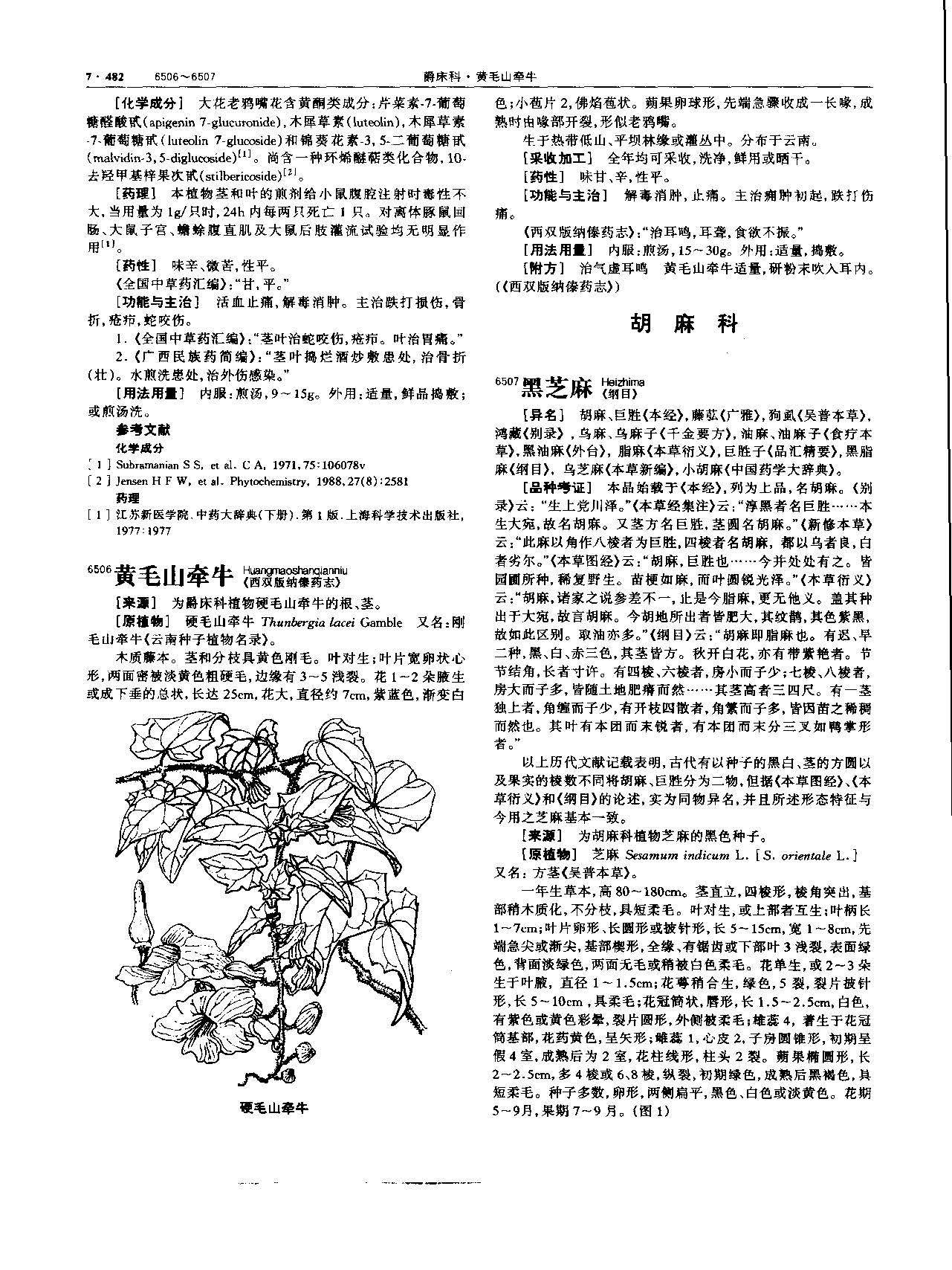 黑芝麻 现代-《中华本草》 资料图