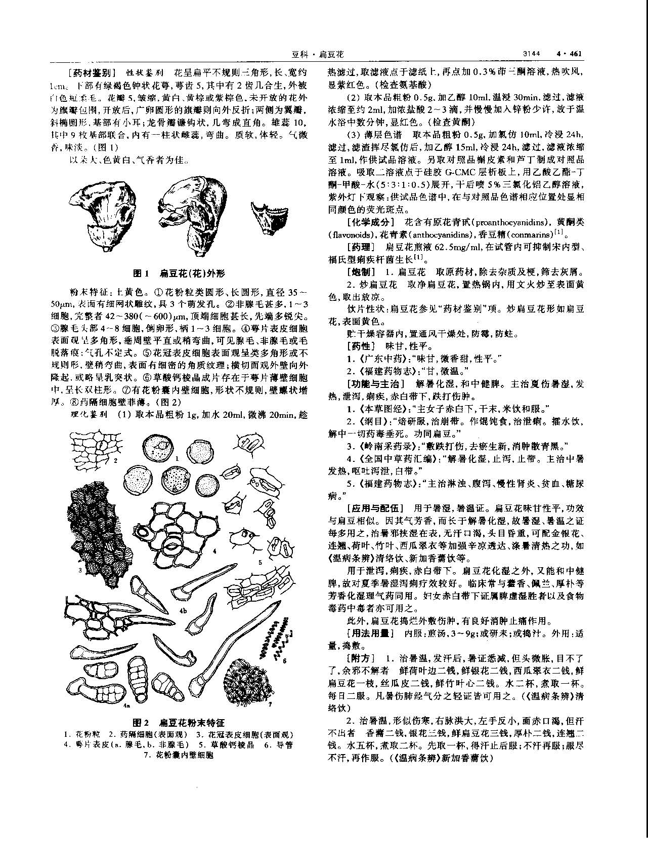 扁豆花 现代-《中华本草》 资料图
