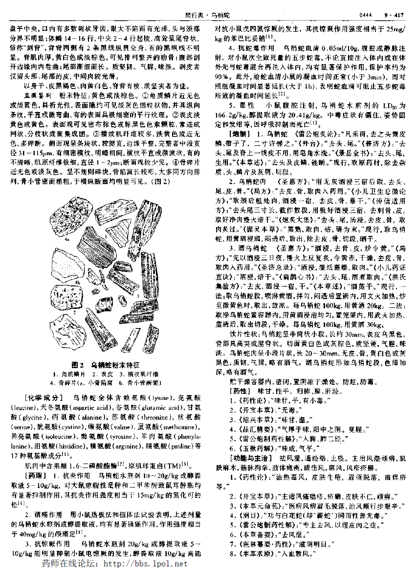 乌梢蛇 现代-《中华本草》 资料图