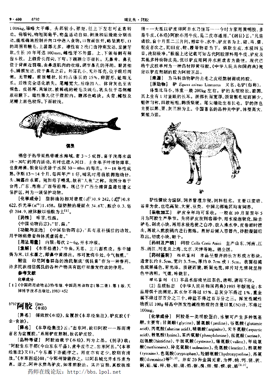 阿胶 现代-《中华本草》 资料图
