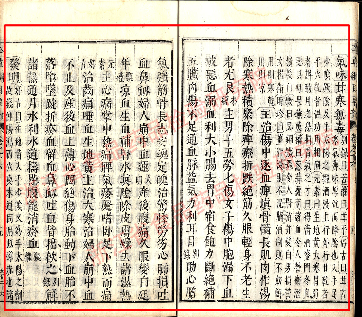 地黄 明 《本草纲目》 资料图