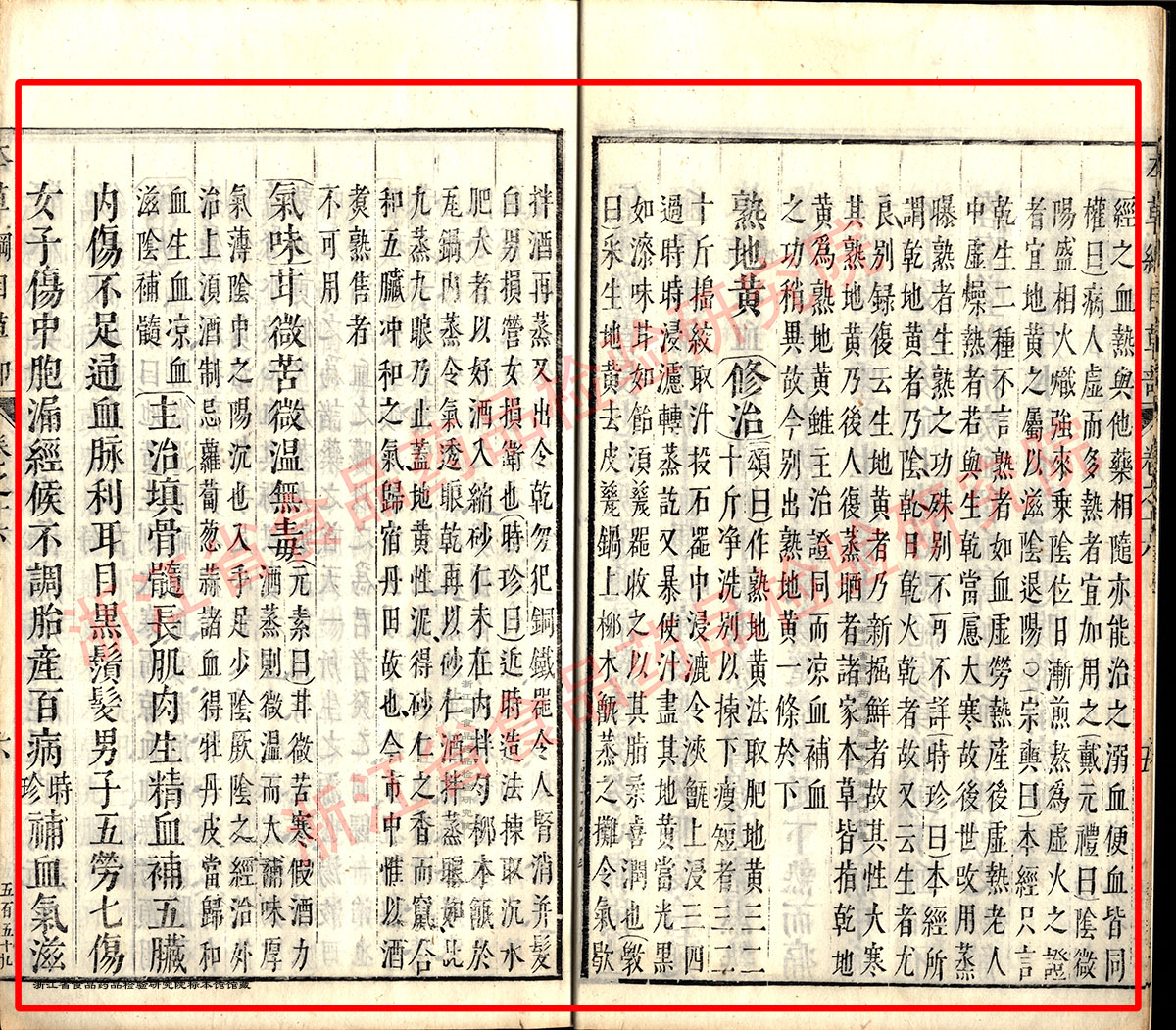 地黄 明 《本草纲目》 资料图