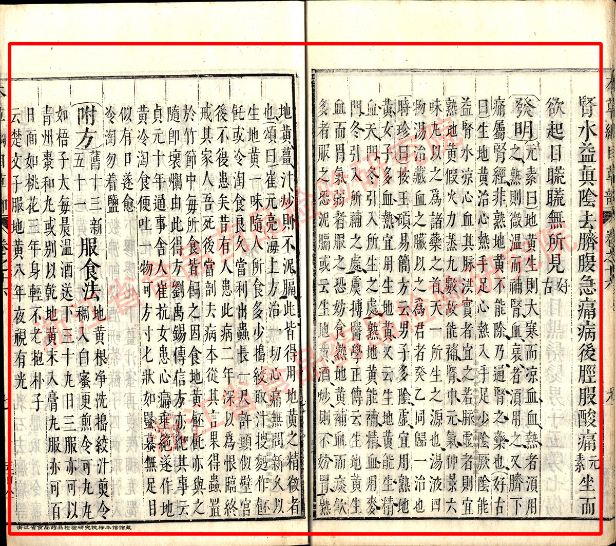 地黄 明 《本草纲目》 资料图