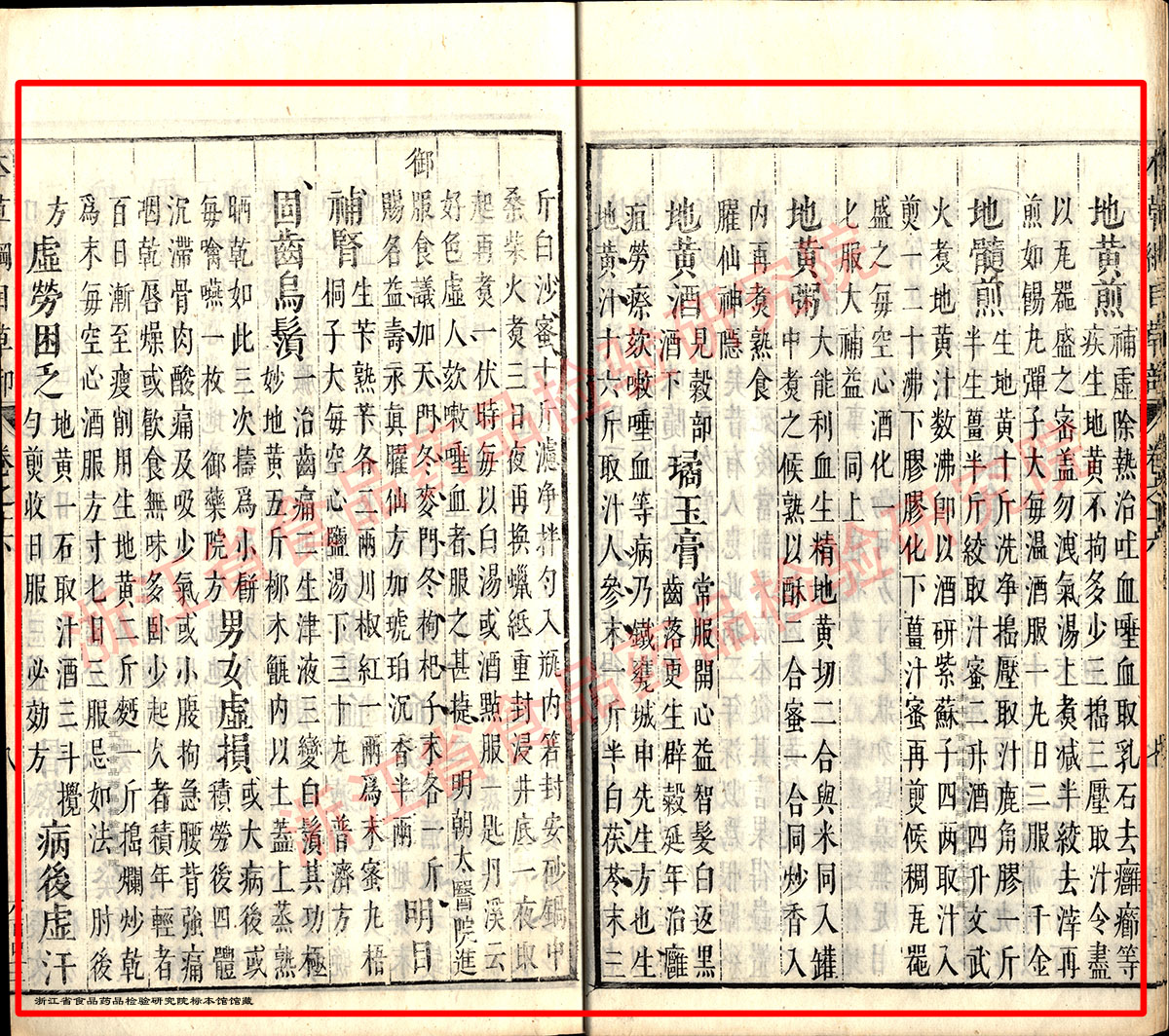 地黄 明 《本草纲目》 资料图