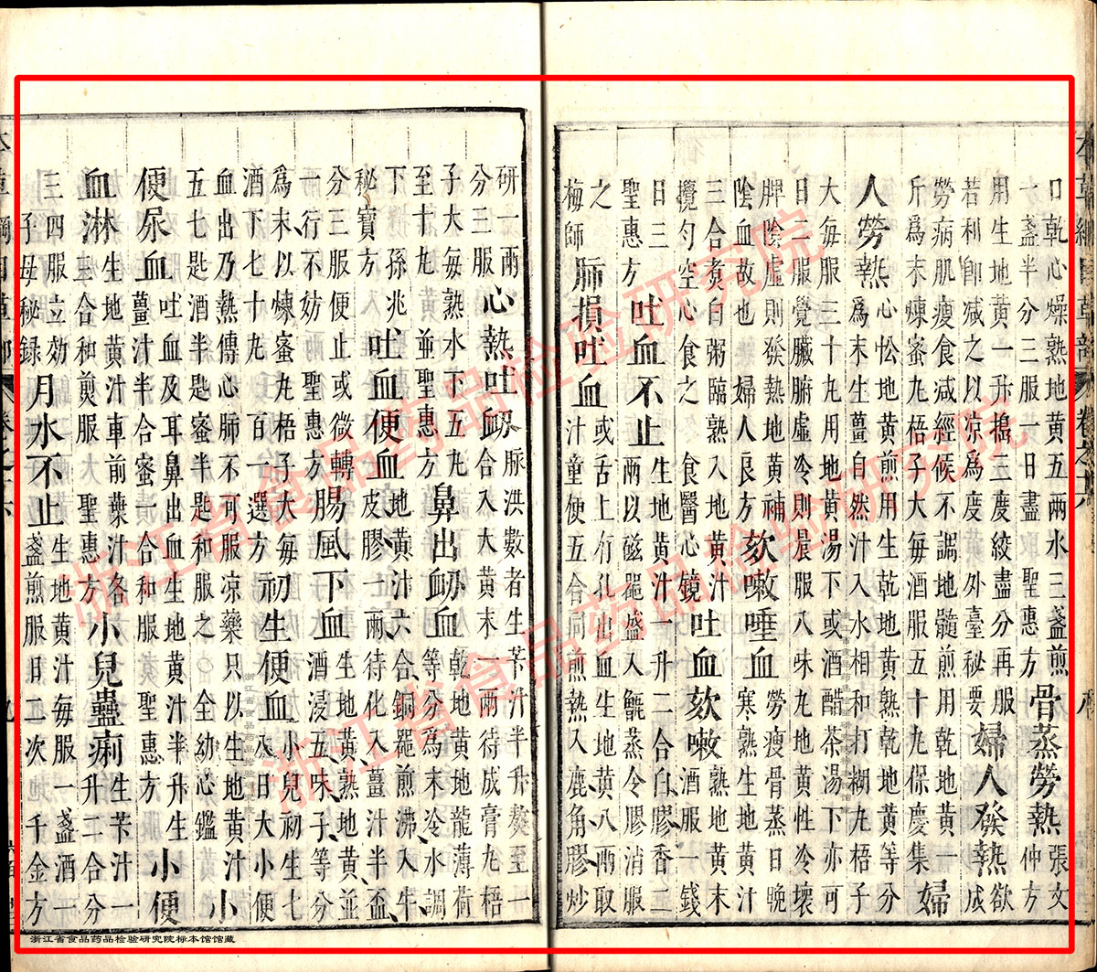 地黄 明 《本草纲目》 资料图