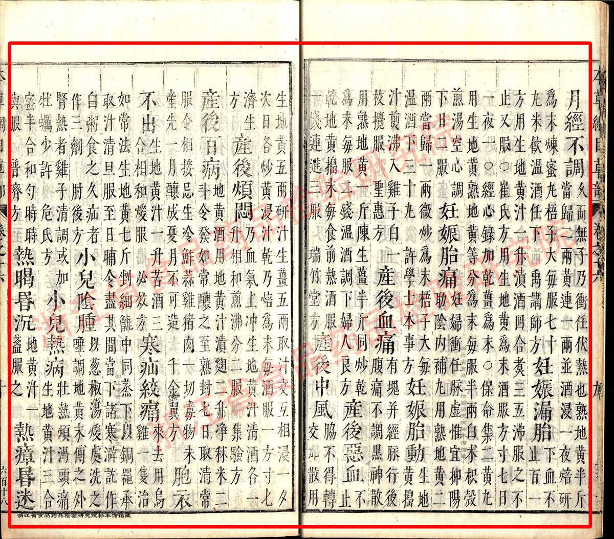 地黄 明 《本草纲目》 资料图