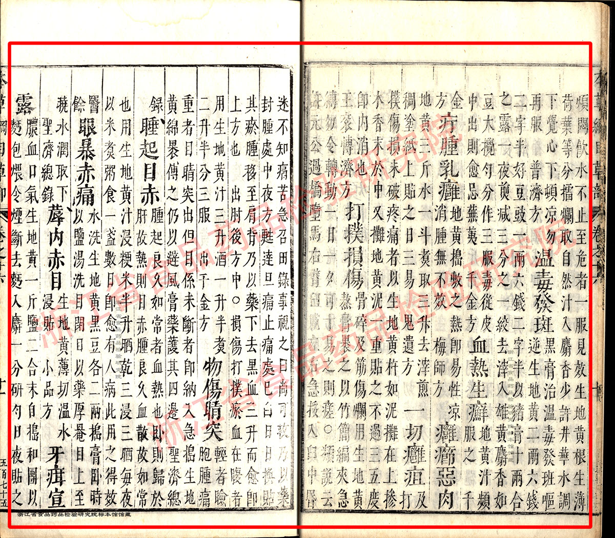 地黄 明 《本草纲目》 资料图