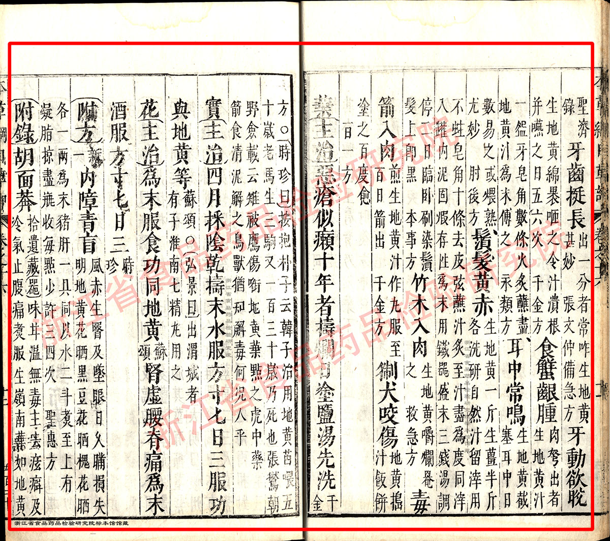 地黄 明 《本草纲目》 资料图