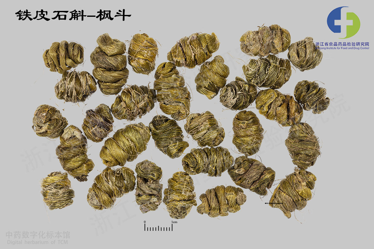 铁皮石斛 铁皮石斛-枫斗 资料图