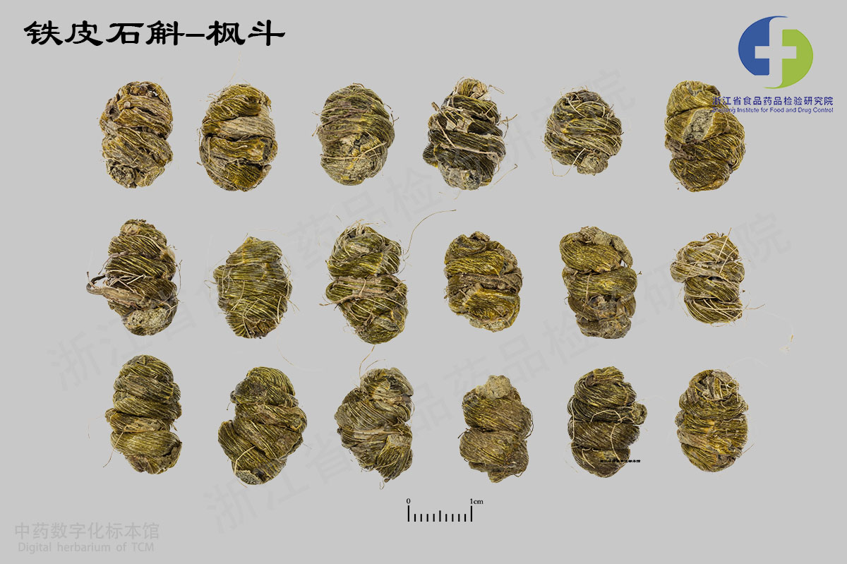 铁皮石斛 铁皮石斛-枫斗 资料图