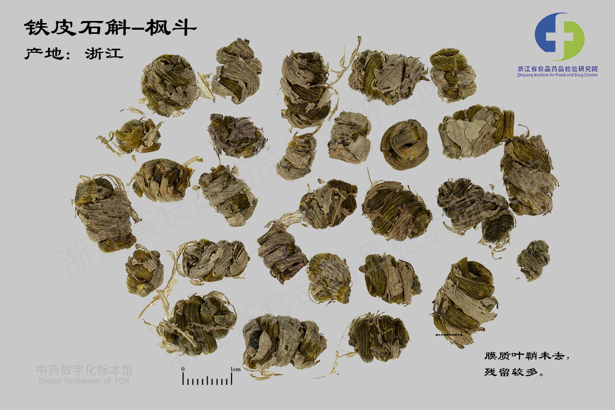 铁皮石斛 铁皮石斛-枫斗 资料图