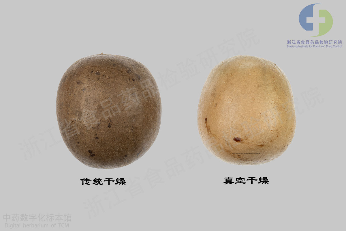 罗汉果 药材 资料图