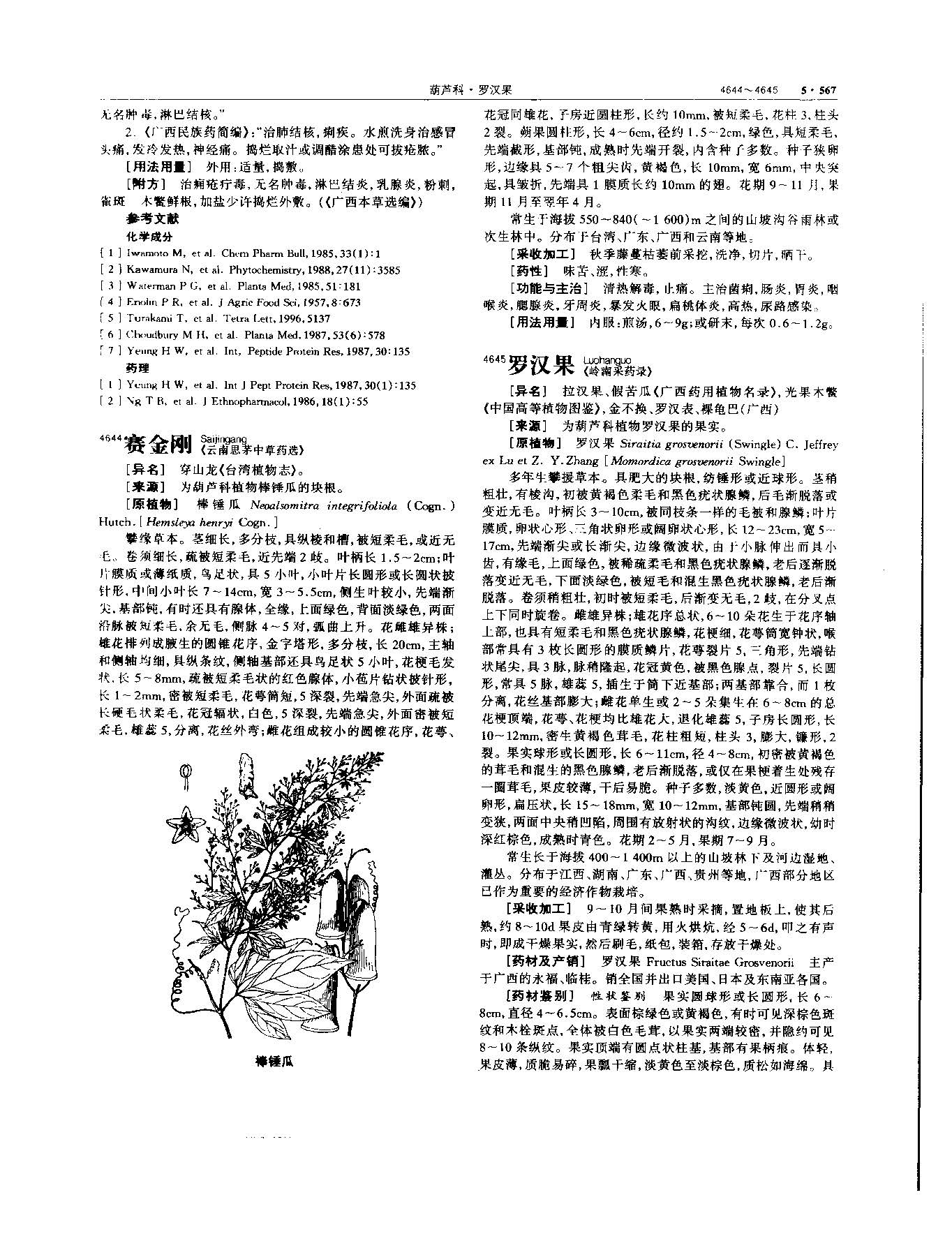罗汉果 现代-《中华本草》 资料图