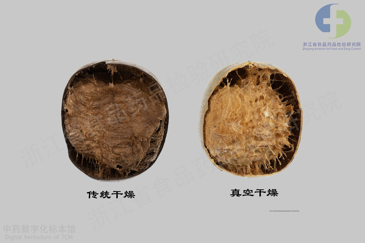 罗汉果 药材 资料图