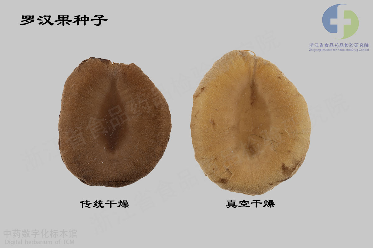 罗汉果 药材 资料图