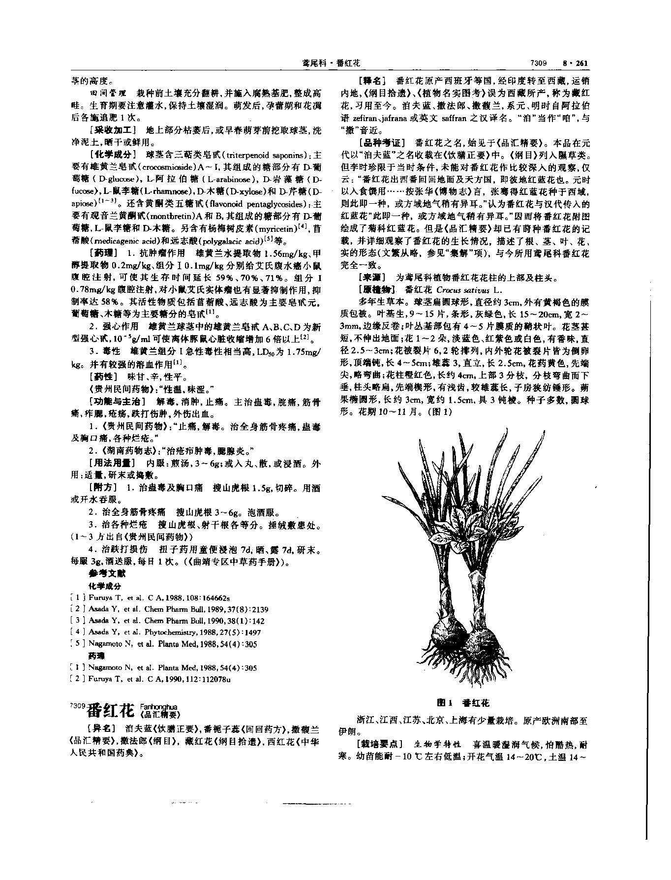 西红花 现代《中华本草》 资料图