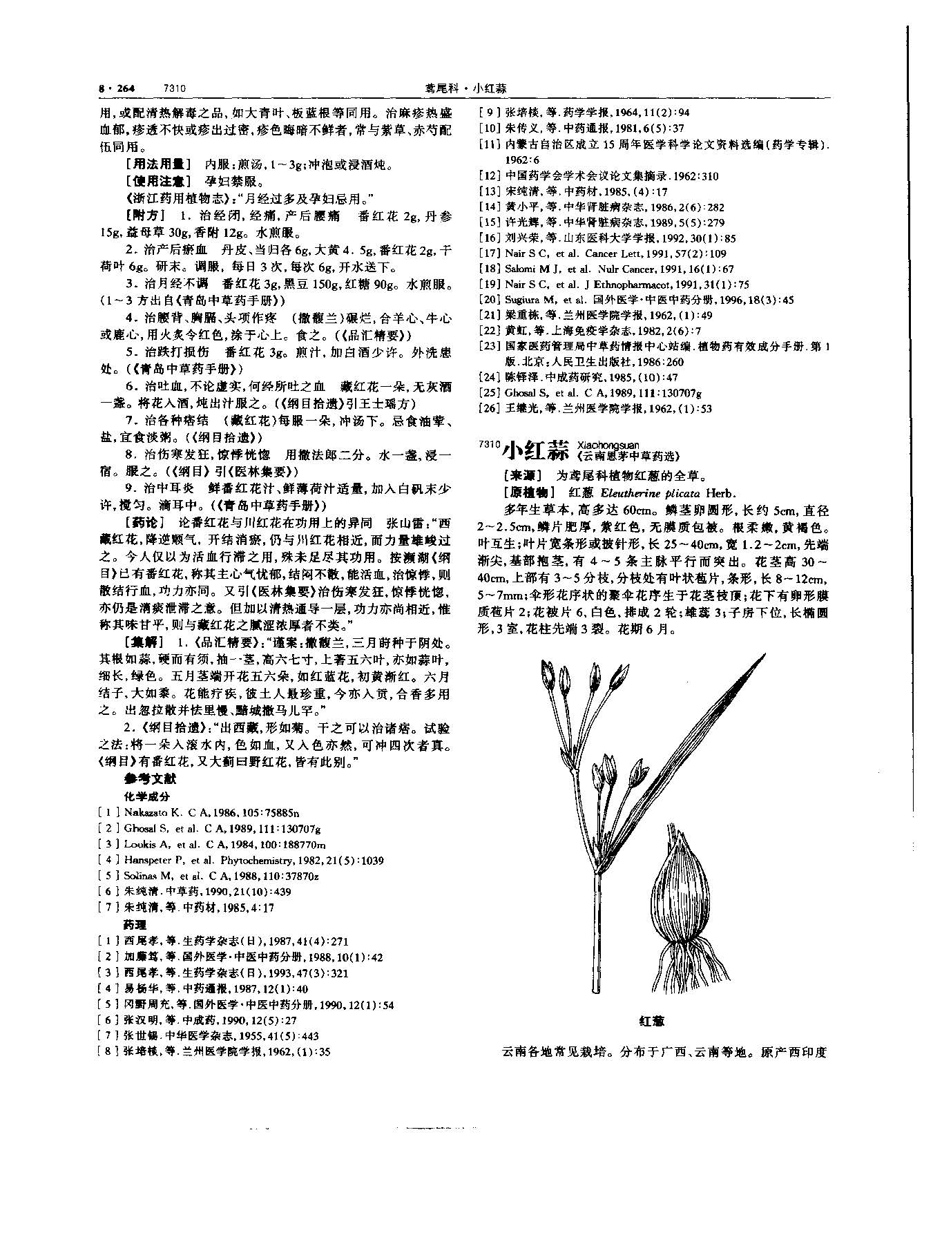 西红花 现代《中华本草》 资料图