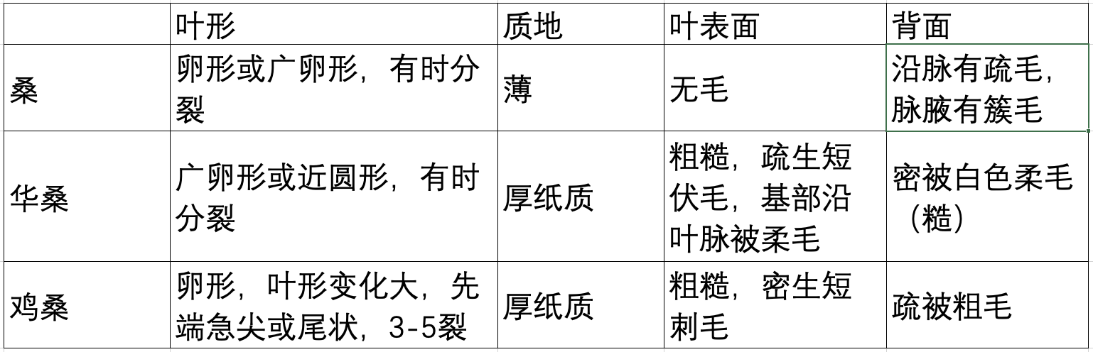 桑叶 华桑和鸡桑 资料图