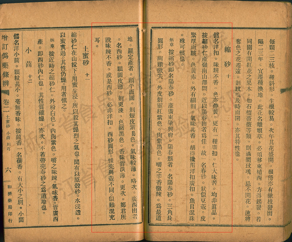 砂仁 民国《增订伪药条辨》 资料图